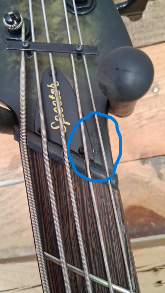 Preview: Spector NS Dimension MS 5, Haunted Moss Matte, Demomodell